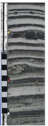 <p class="Paragraph SCXW218210554 BCX0" style="text-align: left;"><span style="line-height: 20.925px;"><span>-As material reaches the lake from the watershed </span></span></p><ul><li><p class="Paragraph SCXW218210554 BCX0" style="text-align: left;"><span style="line-height: 20.925px;"><span>Coarse material is deposited near shore </span></span></p></li></ul><ul><li><p class="Paragraph SCXW218210554 BCX0" style="text-align: left;"><span style="line-height: 20.925px;"><span>Fine material reaches pelagic region, joined by planktonic organic matter </span></span></p></li></ul><ul><li><p class="Paragraph SCXW218210554 BCX0" style="text-align: left;"><span style="line-height: 20.925px;"><span>Sedimentation rates vary withing a few to several mm per year </span></span></p></li></ul><ul><li><p class="Paragraph SCXW218210554 BCX0" style="text-align: left;"><span style="line-height: 20.925px;"><span>Sediment traps </span></span></p></li></ul><ul><li><p class="Paragraph SCXW218210554 BCX0" style="text-align: left;"><span style="line-height: 20.925px;"><span>Cores </span></span></p></li></ul><ul><li><p class="Paragraph SCXW218210554 BCX0" style="text-align: left;"><span style="line-height: 20.925px;"><span>ADD </span></span></p></li></ul><ul><li><p class="Paragraph SCXW218210554 BCX0" style="text-align: left;"><span style="line-height: 20.925px;"><span>From yearly cycles of deposition of varying composition (e.g. ”varves” in calcareous sediments- altering light and dark bands) </span></span></p></li></ul><p></p>