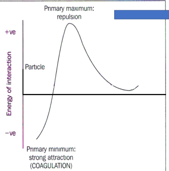 <p>What is the primary maximum?</p>