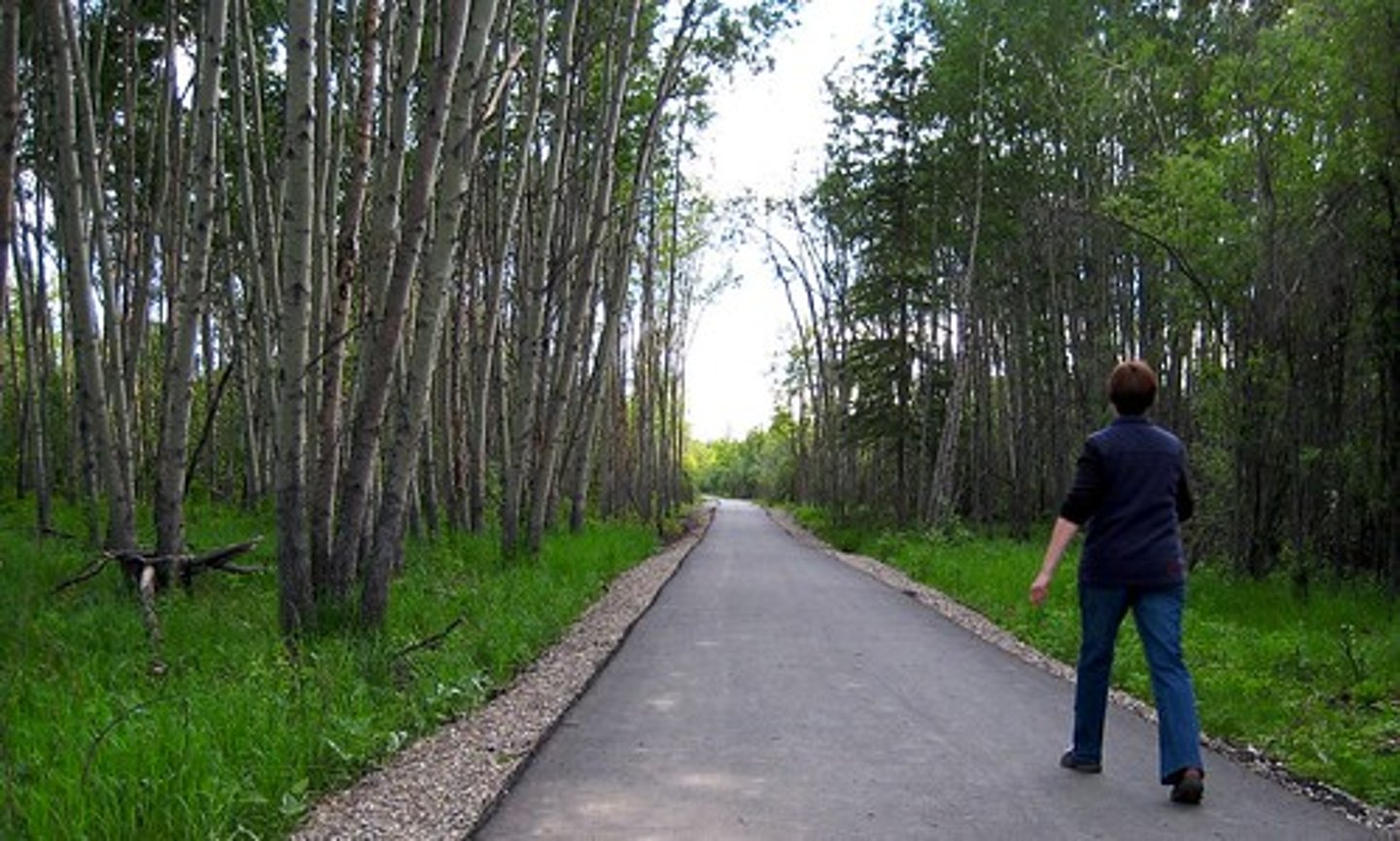 <p>a path across open country or rough forests planned or marked out for walking or hiking</p>