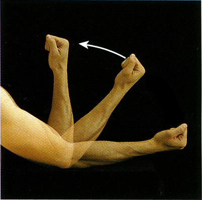 <p>a movement that decreases the angle and brings bone closer together (bone to bone)</p>
