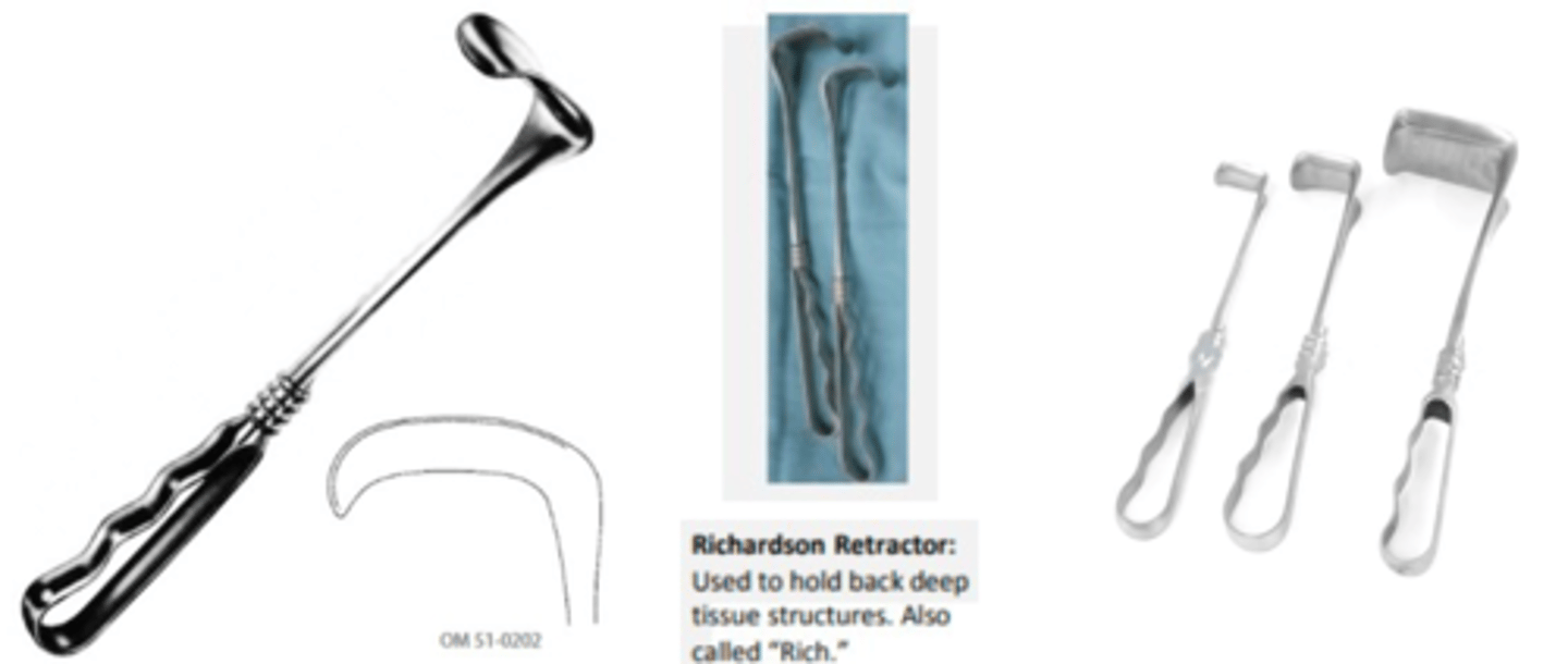 <p>-hold back deep tissue structure</p>