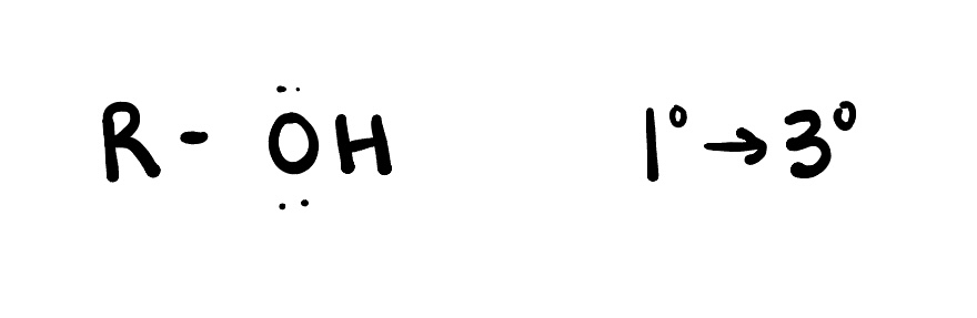 <p>are organic compounds that contain one or more hydroxyl (-OH) functional groups. They are derived from alkanes by replacing a hydrogen atom with a hydroxyl group. </p>