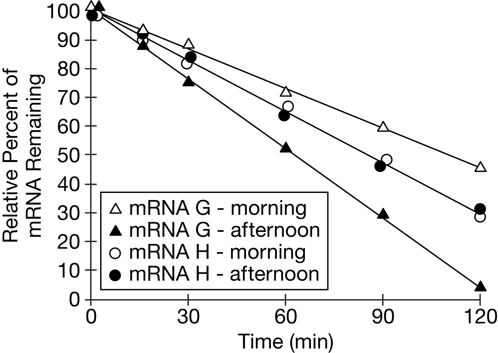 <h4 style="text-align: start" collapsed="false" seolevelmigrated="true">Question</h4><p>Researchers investigated whether time of day affects the rate at which certain <span>mRNAs</span> produced by plants are broken down. At either <span>1</span> hour after the start of the light period (morning) or <span>8</span> hours after the start of the light period (afternoon), the researchers treated identical plant seedlings with a compound that blocks transcription (<span>time=⁢0⁢⁢min</span>). The researchers measured the percent remaining of two <span>mRNAs</span>, <span>mRNA G</span> and <span>mRNA H</span>, over the course of <span>120</span> minutes. The data are shown in Figure 1.Figure 1. Degradation of <span>mRNA G</span> and <span>mRNA H</span> over time after exposure to light for <span>1</span> hour (morning) or <span>8</span> hours (afternoon)—-Based on the data, which of the following best describes the relationship between light and the degradation of <span>mRNA G</span> and <span>mRNA H</span>?</p><p>A) Exposure to light causes the degradation of both mRNA G and mRNA H .</p><p><span>B) mRNA G</span> and <span>mRNA H</span> degrade at the same rate during morning exposure to light.</p><p>C) A longer exposure to light increases the rate of <span>mRNA G</span> degradation but not of <span>mRNA H</span> degradation.</p><p>D) Exposure to more-intense afternoon light causes both <span>mRNA G</span> and <span>mRNA H</span> to degrade more rapidly in the afternoon than in the morning.</p>