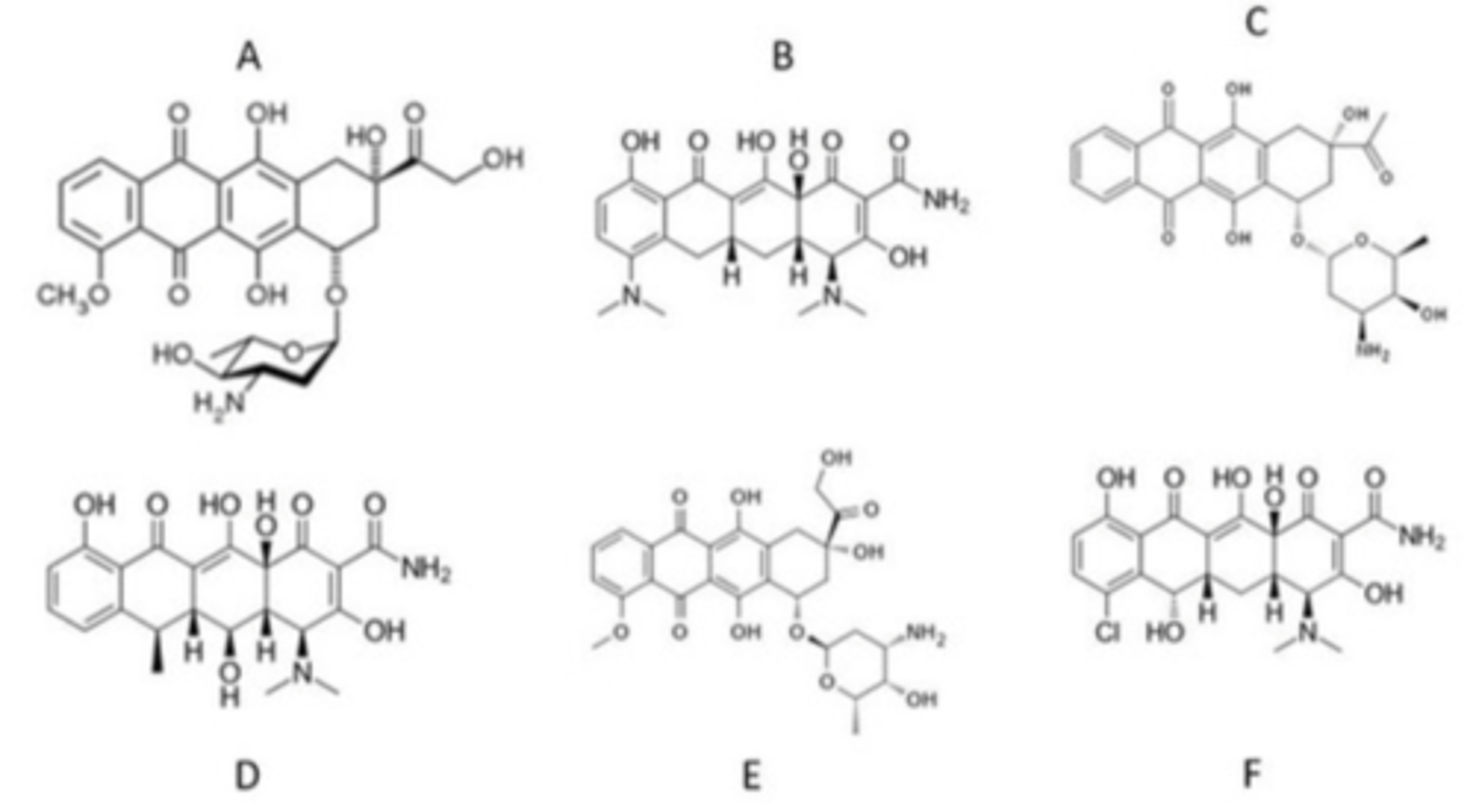 <p>Which are NOT topoisomerase posions?</p>