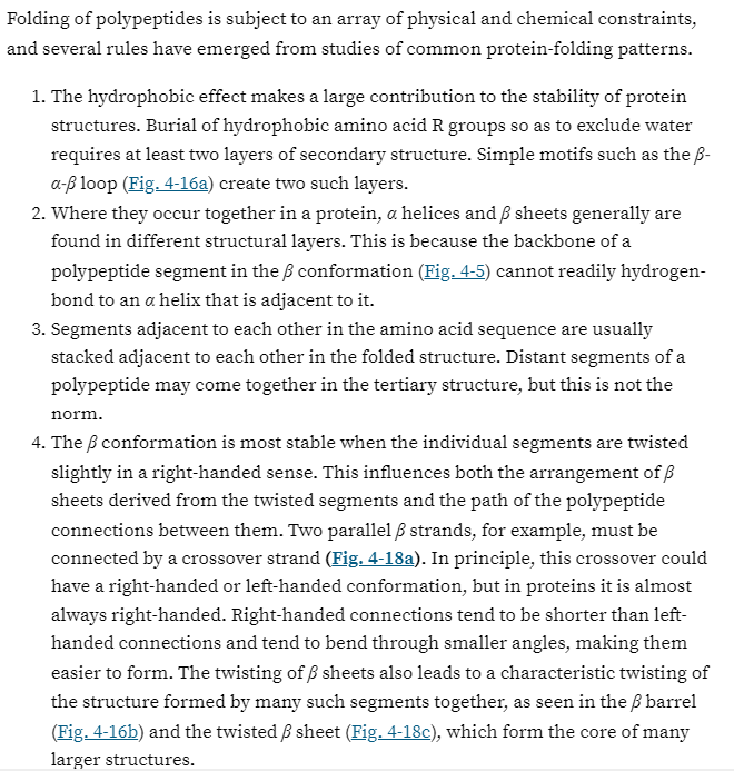 <p>Hydrophobic effect makes a large contribution to stability of protein structures.</p><p>Alpha helix and Beta sheets are found in different structural layers</p><p>Segments adjacent to each other in amino acid sequence are usually stacked adjacent to each other in a folded structure.</p><p>Beta conformation is most stable when segments are twisted slightly in a right-hand. sense.</p>