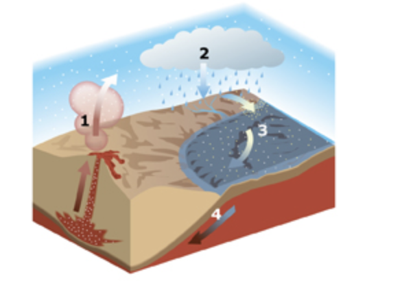 <p>This diagram represents the carbon dioxide cycle. Which position in the diagram represents the part of the cycle in which carbon dioxide is turned into carbonate minerals and rock?</p>