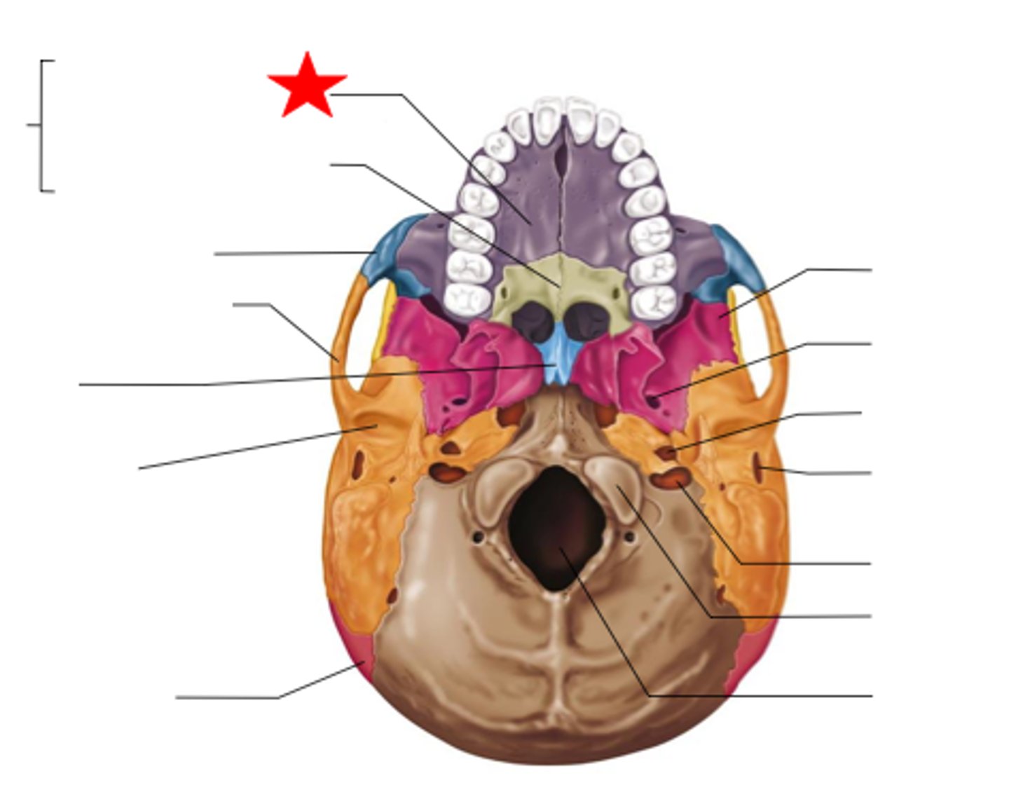 knowt flashcard image