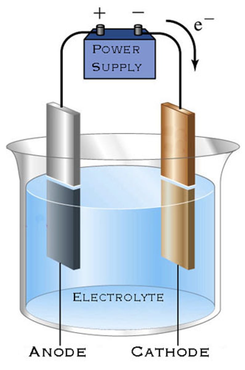 <p>an electrochemical cell used to cause a chemical change through the application of electrical energy</p>
