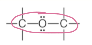 <p>oxygen within backbone</p><p>ROR</p>
