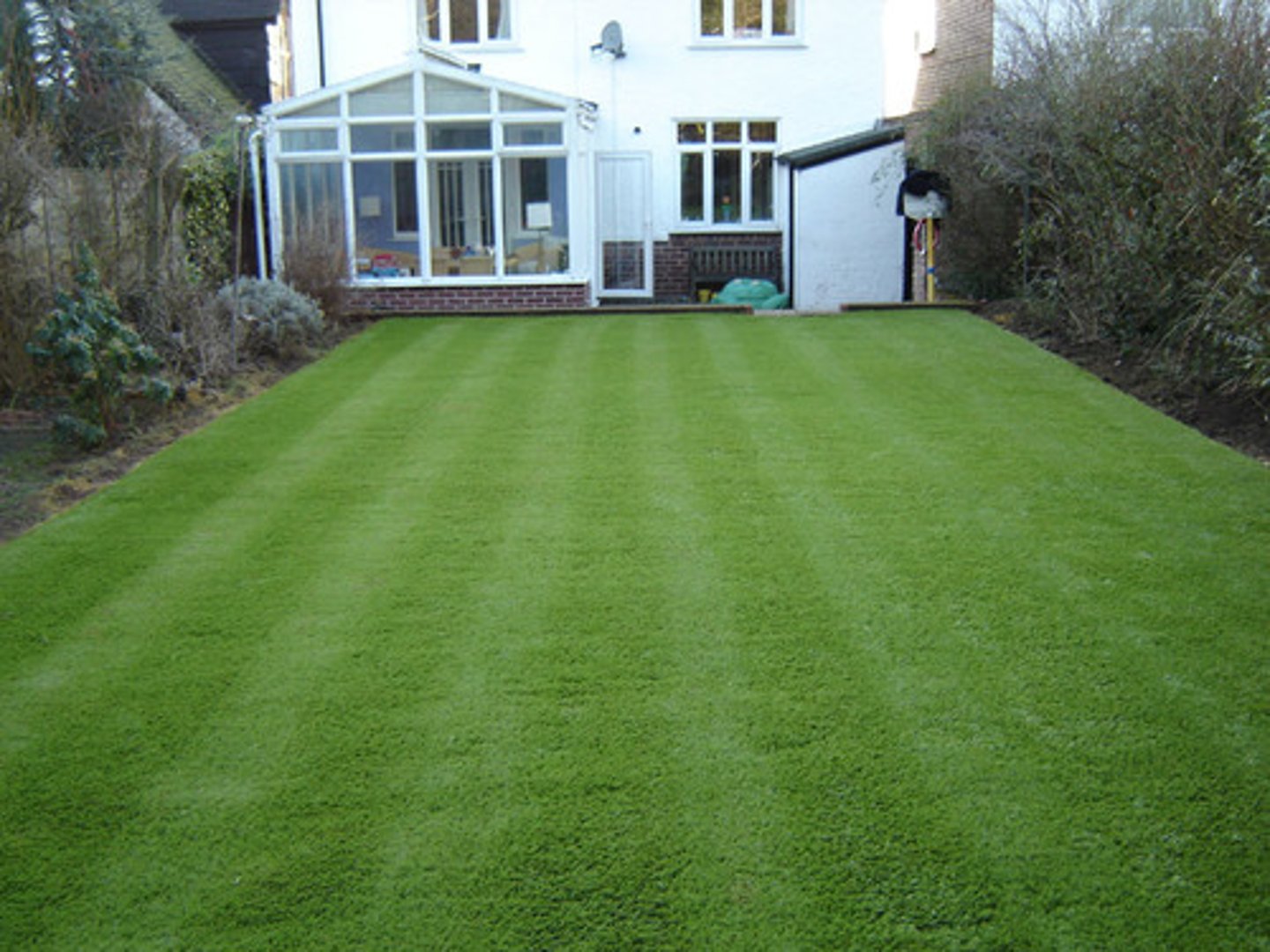 <p>lawn</p>