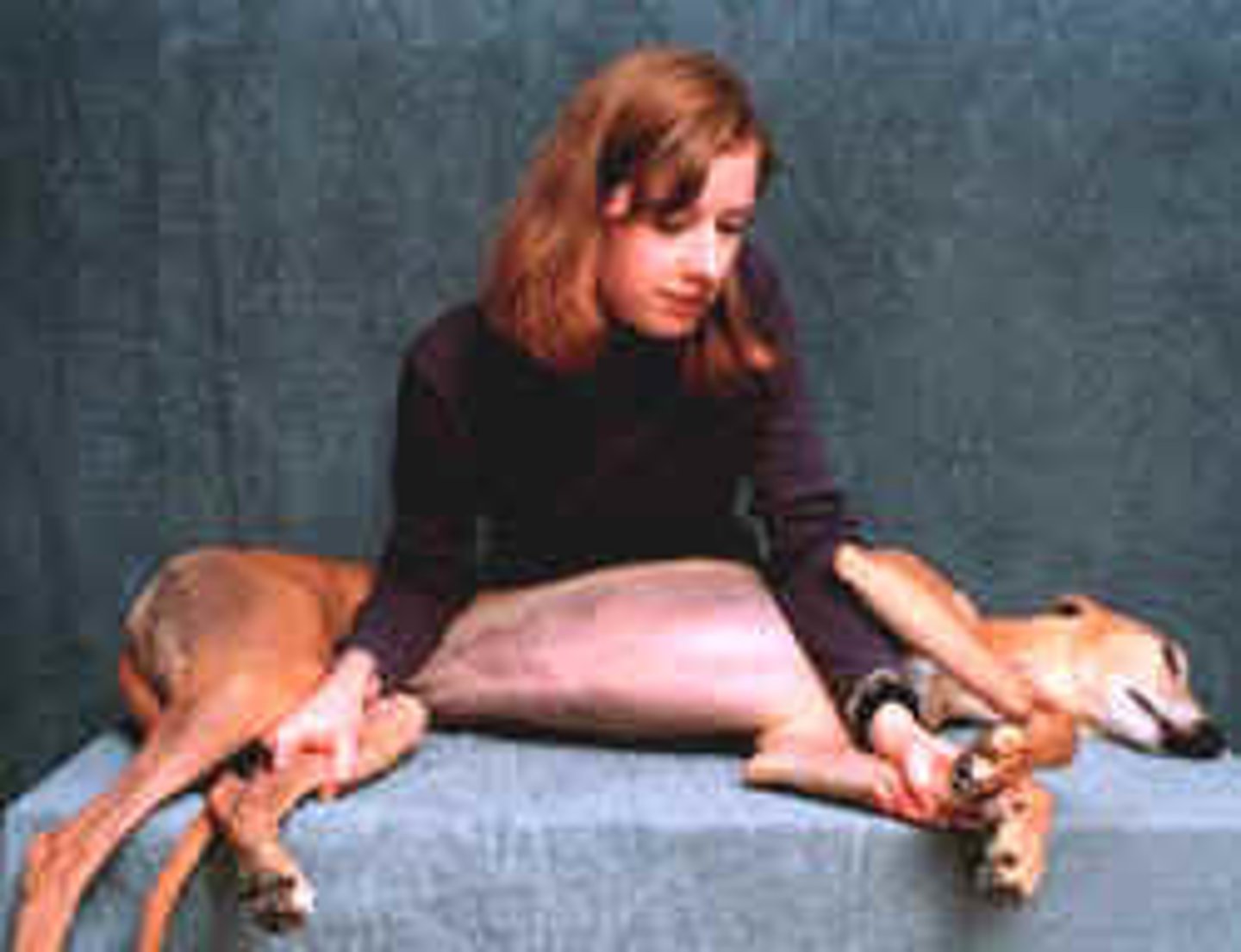 <p>Lying on it's side.</p>