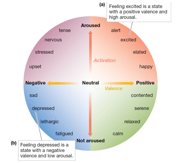 <p>Emotions are plotted along two dimensions that lie along a continuum: valence and arousal<br>Valence refers to how negative or positive the emotion is.</p><p> Arousal describes the extent to which the emotion causes increased brain activity or autonomic responses</p>