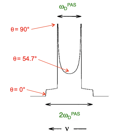 <p>result of dipolar interaction in solid powder samples</p><p>powder sample = average of all possible magnetic moment orientations is observed (since magnetic moment/spin is nuclear property not structural)</p><p>= varying angles of θ = Pake doublet peak follows cosθ </p>