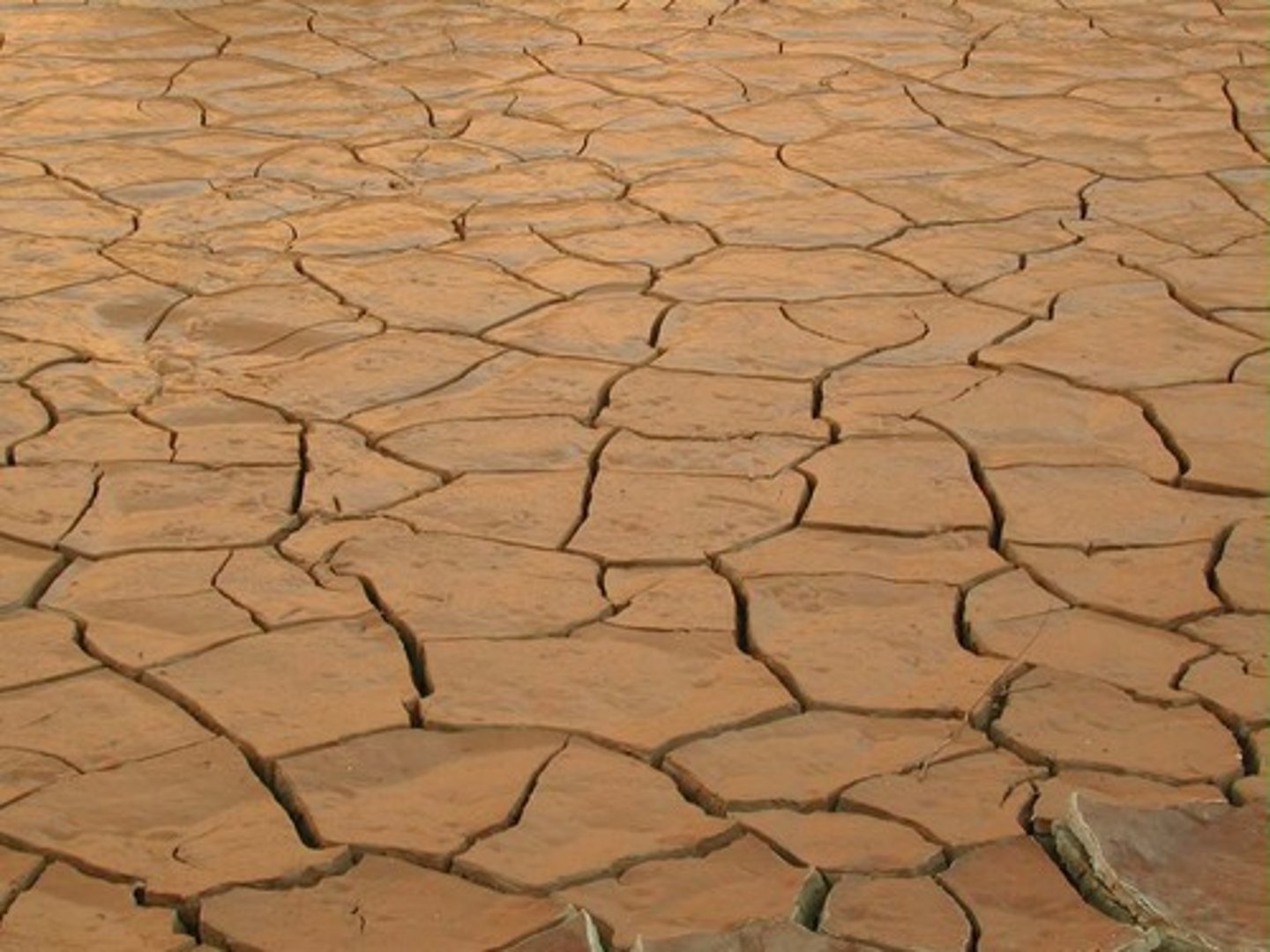 <p>dry climate</p>