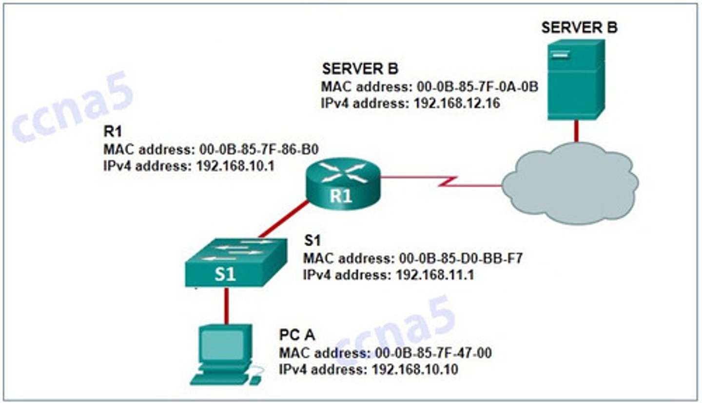 <p>Refer to the exhibit. PC A sends a request to Server B. What IPv4 address is used in the destination field in the packet as the packet leaves PC A?</p><p>192.168.11.1</p><p>192.168.10.1</p><p>192.168.12.16</p><p>192.168.10.10</p>