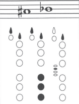 <p>Note name?</p>