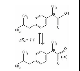 <p><strong>IClicker: </strong>A person takes ibuprofen (pKa = 4.4). It is best absorbed protonated. Is it more likely to be absorbed in the stomach (pH = 2.4) or the small intestine (pH = 6.4)?</p><p>(A) Stomach</p><p>(B) Intestine</p>