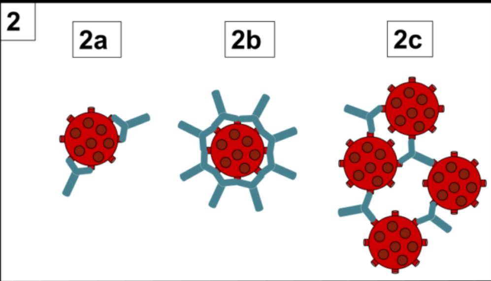 <p>name the processes</p>