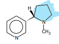 <p>[Alkaloids Compounds] What pyridine alkaloid is this</p>