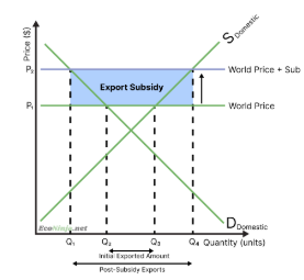 <p><span><strong><em>Before</em></strong><em> export subsidy:</em></span></p><ul><li><p class="zfr3Q CDt4Ke " style="text-align: left"><span><em>Domestic producers produce at Q3, because price is at P1</em></span></p></li><li><p class="zfr3Q CDt4Ke " style="text-align: left"><span><em>Consumers consume at Q2, because price is at P1</em></span></p></li><li><p class="zfr3Q CDt4Ke " style="text-align: left"><span><em>Hence, the rest is exported (Q2 &lt;-&gt; Q3)</em></span></p></li></ul><p class="zfr3Q CDt4Ke " style="text-align: left"><span><strong><em>After</em></strong><em> export subsidy:</em></span></p><ul><li><p class="zfr3Q CDt4Ke " style="text-align: left"><span><em>Domestic producers get a subsidy of P1 &lt;-&gt; P2, so they produce as if the price is P2, so at Q4</em></span></p></li><li><p class="zfr3Q CDt4Ke " style="text-align: left"><span><em>Since producers get a higher price exporting, they are only willing to sell domestically if they get the same price P2</em></span></p></li><li><p class="zfr3Q CDt4Ke " style="text-align: left"><span><em>This means domestic consumers now have to pay P2 instead of P1, reducing their demand from Q2 to Q1</em></span></p></li><li><p class="zfr3Q CDt4Ke " style="text-align: left"><span><em>Hence, the new exported amount is Q1 &lt;-&gt; Q4</em></span></p></li></ul><p></p>