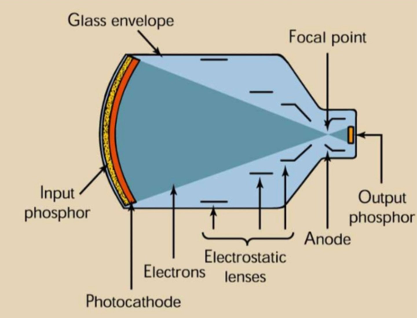 <p>d. Image intensifier</p>