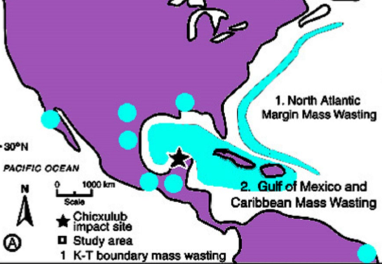 <p>mainly in Caribbean and easter seaboard of South and North America.</p>