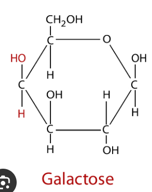 <p>Central ring of five carbons (like glucose) and one oxygen atom with a CH2OH group at carbon 6.</p>
