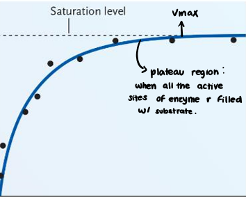 Plateau Region