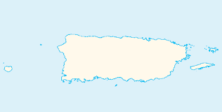 <p>Capital of this image </p>