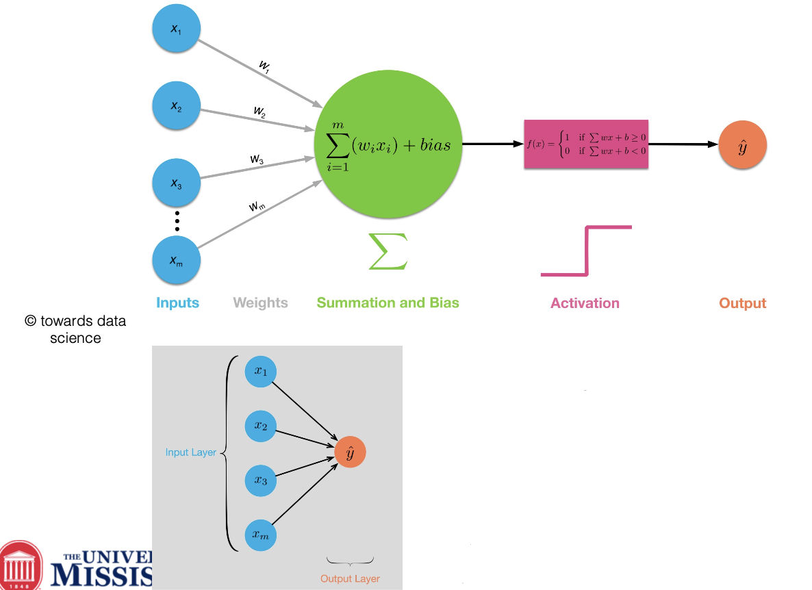 <ul><li><p>receives inputs</p></li><li><p>applies weights to these inputs</p></li><li><p>sums the weighted inputs</p></li><li><p>passes the sum through an activation function</p></li><li><p>produces an output</p></li></ul><p></p>