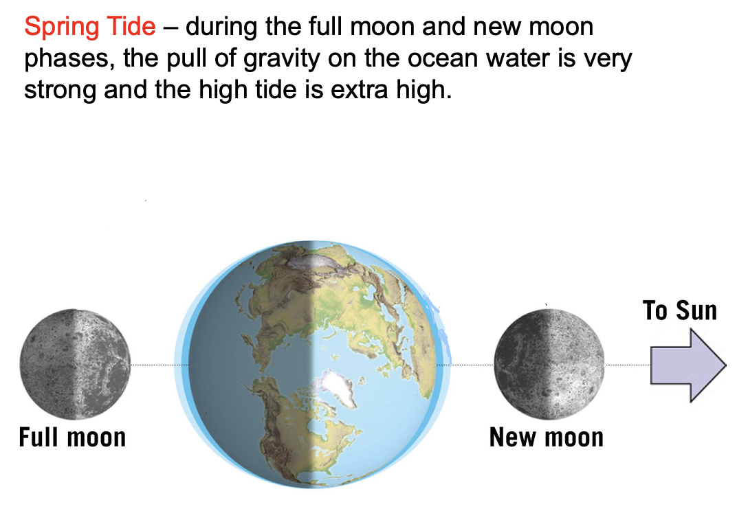 <p><span>occurs when earth, the moon and the sun are all lined up - occurs during a new moon phase aka spring tide </span></p>