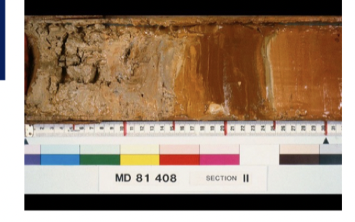 Drilling programes with cores

Different colours due to, different microbial communities as you go deeper into the sediment 

Based off oxygen conc, changing terminal electron acceptor e.g. nitrate

  

M.O on anode and oxidizes waste water, electrons stolen from micro-organisms to generate electricity

    