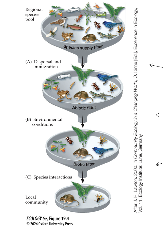 <p>Species Interactions</p>