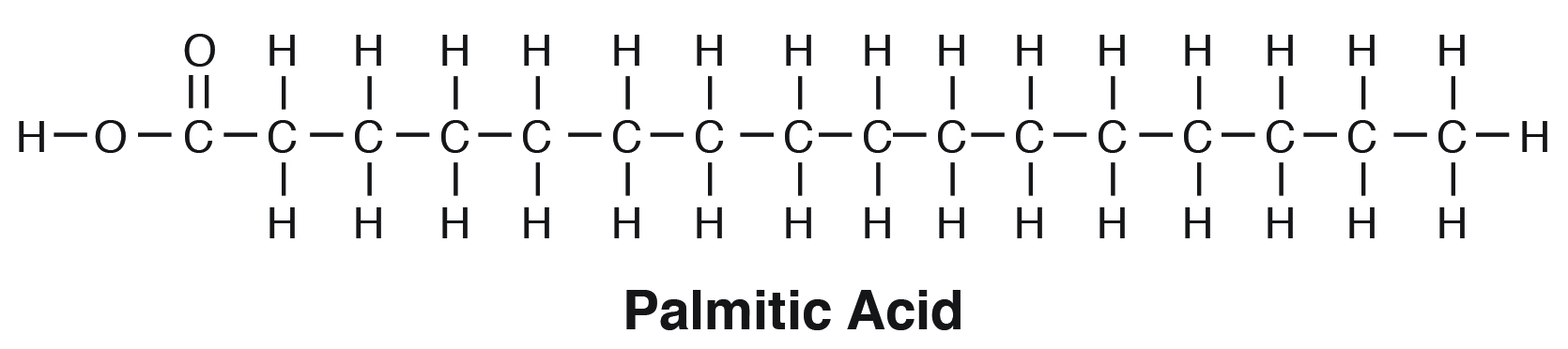 <p>in palmitic acid, CH<sub>3</sub>(CH<sub>2</sub>)<sub>14</sub>-COOH, what does CH<sub>3</sub> stand for?</p>