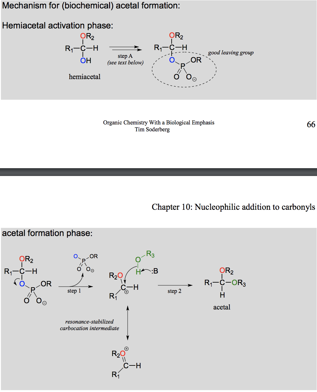 <p>Activation is needed as without it the intermediate is too acidic to be in the body.</p>