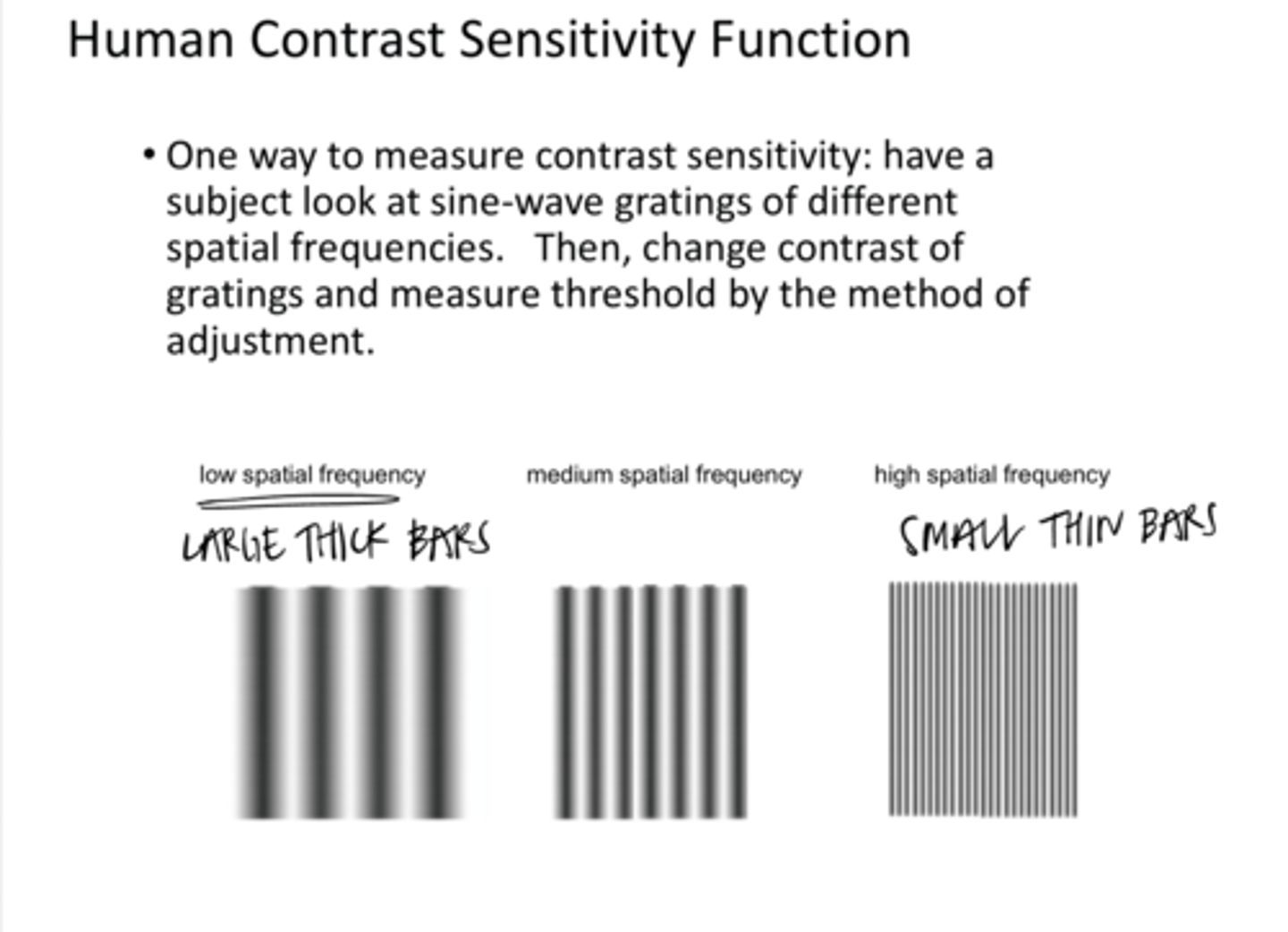 <p>What is one way to measure contrast sensitivity in humans?</p>