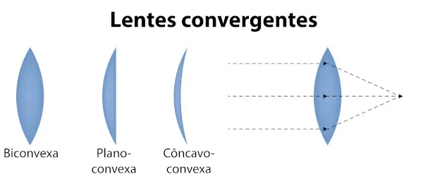 <p>comportamento de espelho côncavo (depende da posição)</p><p>interseção de duas lentes juntando feixes em um único ponto</p><p>possuem as extremidades mais finas do que a parte central</p><p>a velocidade dos feixes diminui do ar pro vidro e eles convertem no foco</p>