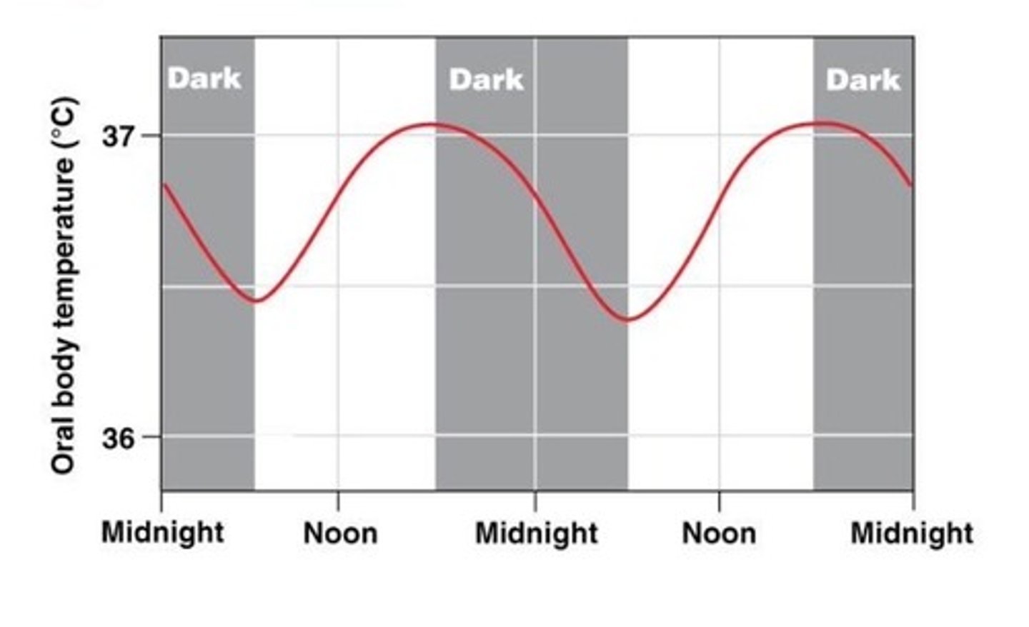 <p>pineal gland secretes a hormone (melatonin) which helps to set the biological clock and thus the circadian rhythm</p><p>1. changes in light are detected by photoreceptors of the eye</p><p>2. this is conveyed to the principal circadian clock of the body (a small structure in the hypothalamus)</p><p>during the day, circadian clock detects high levels of light and instructs the pineal gland to reduce secretion of melatonin</p><p>during night, the opposite occurs</p><p>a rise in melatonin leads to the body's preparation for sleep with a lowering of core temperature, thus melatonin is often called the sleep hormone</p>