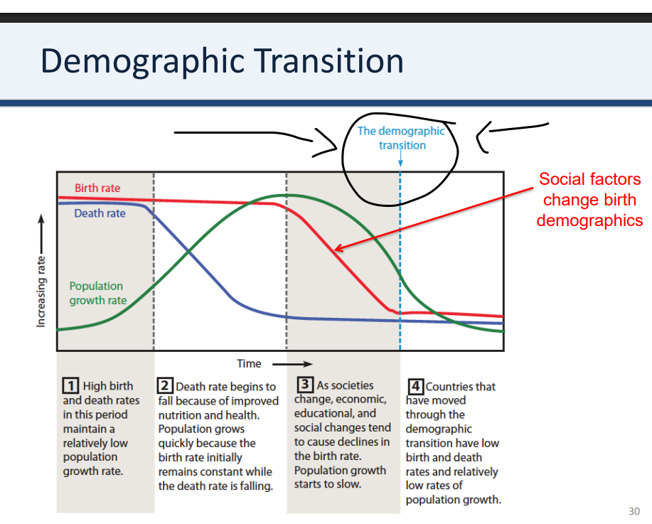 <ol><li><p>Occurred during the process of industrial and economic development </p></li><li><p>Observed across all western and developed nations </p></li><li><p>Leads to decline in population growth rate</p></li></ol><p></p>
