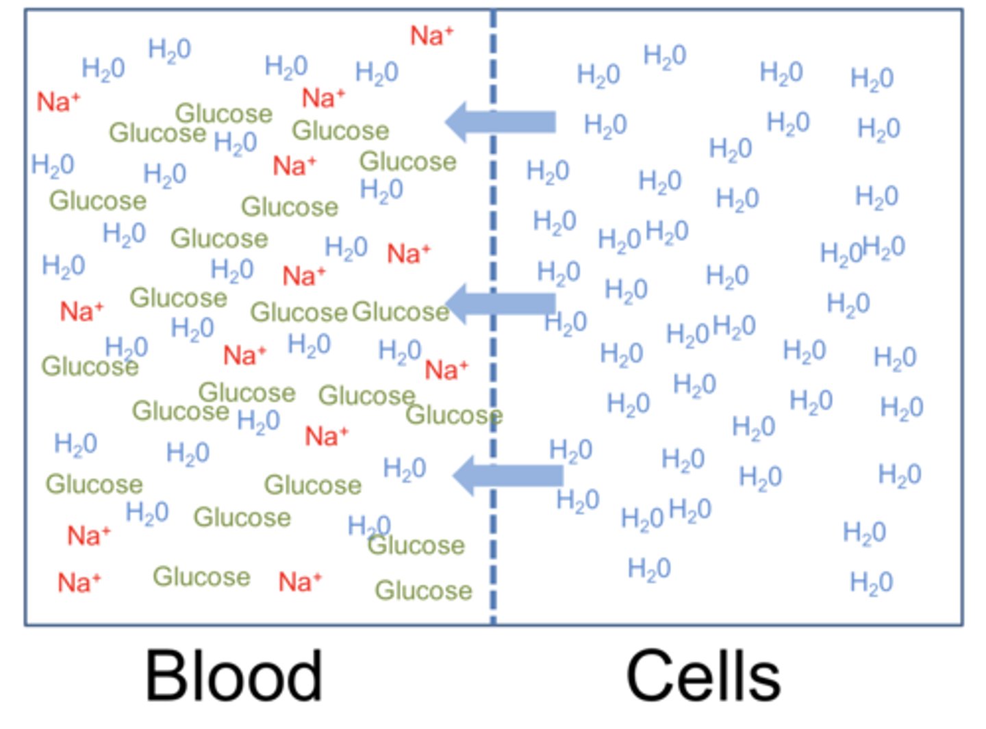 <p>Is this high osmolality or low osmolality?</p>
