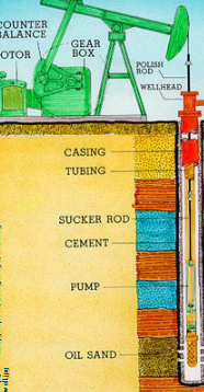 <p>Primary Production</p>