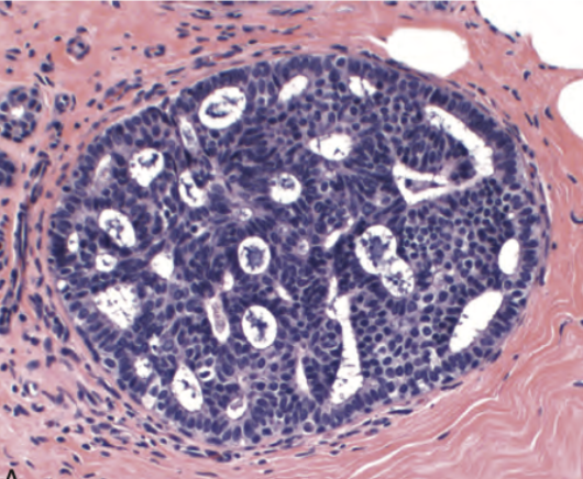 <p>Diagnóstico </p>