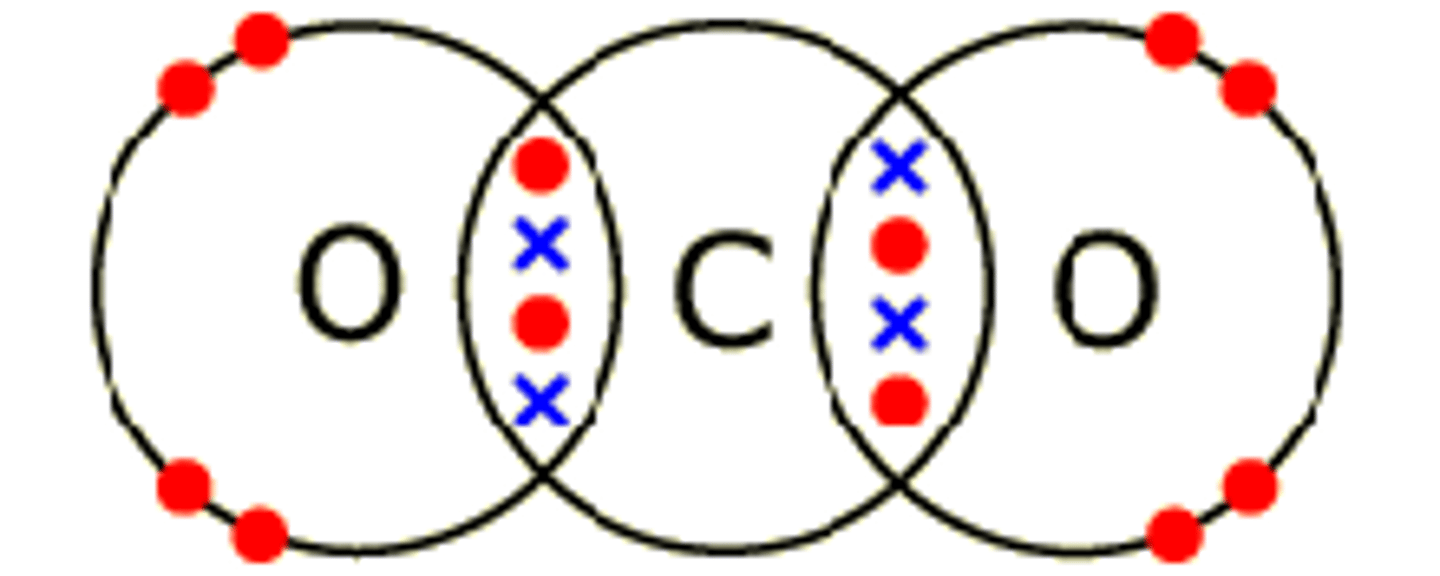 <p>carbon dioxide</p>