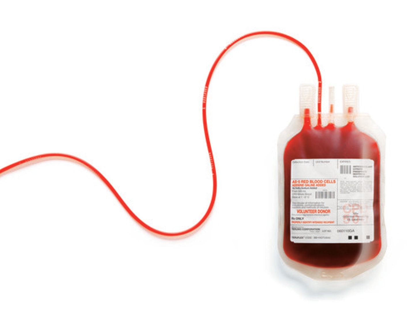 <p>The study of blood and blood disorders</p>