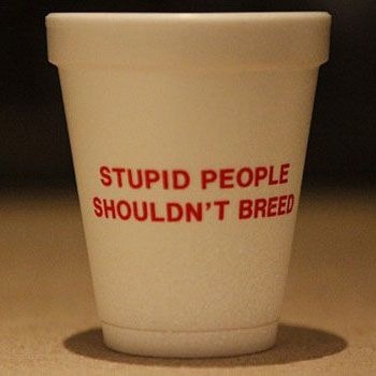 <p>A statement that is obviously true</p>