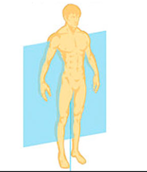 <p>splits you from back to front</p>