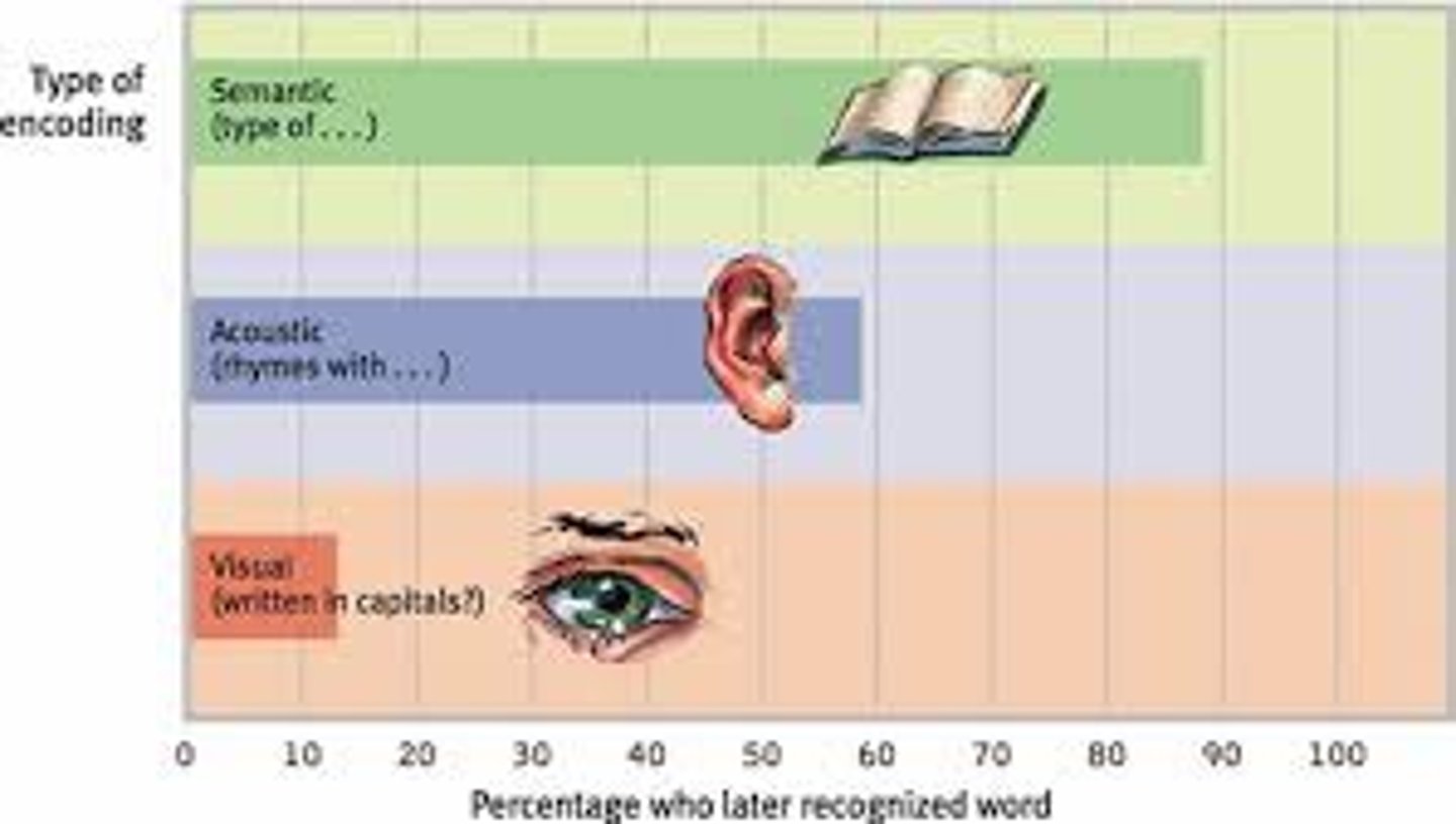 <p>the act of getting information into the memory system through automatic or effortful processing</p>