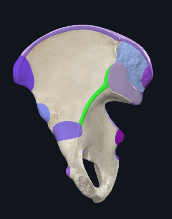 <p>What is highlighted green</p>