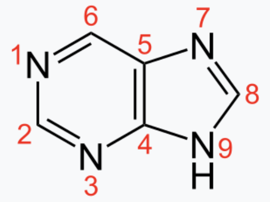 <p>which purine substrate donates nitrogen 1?</p>