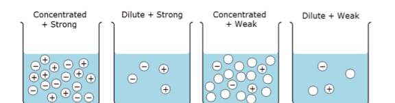 <p>concentrated - lots of particles (either strong or weak)</p><p>dilute - not many particles (either strong or weak)</p>